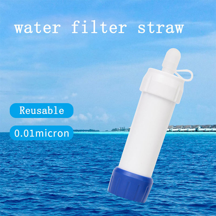 Customize Logo Water Bottle With Filter OEM Travel Portable Water Filter For Sale 